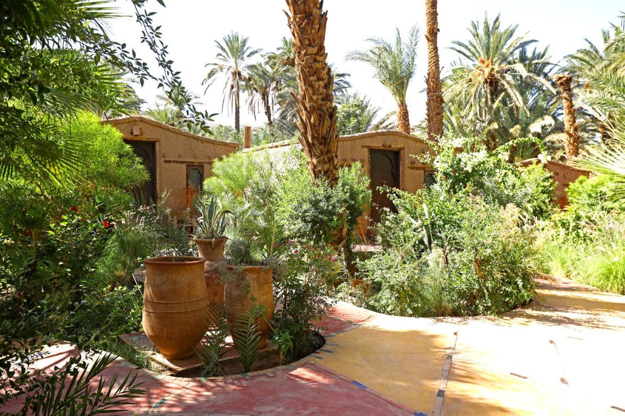 Ecolodge Bab El Oued Maroc Oasis Agdz Exterior foto