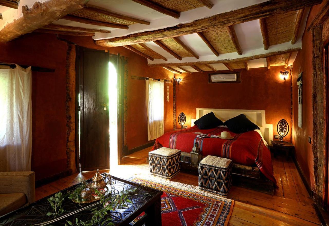 Ecolodge Bab El Oued Maroc Oasis Agdz Exterior foto