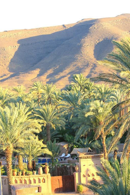 Ecolodge Bab El Oued Maroc Oasis Agdz Exterior foto