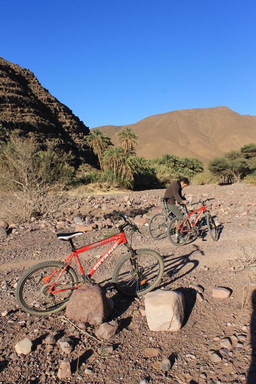 Ecolodge Bab El Oued Maroc Oasis Agdz Exterior foto