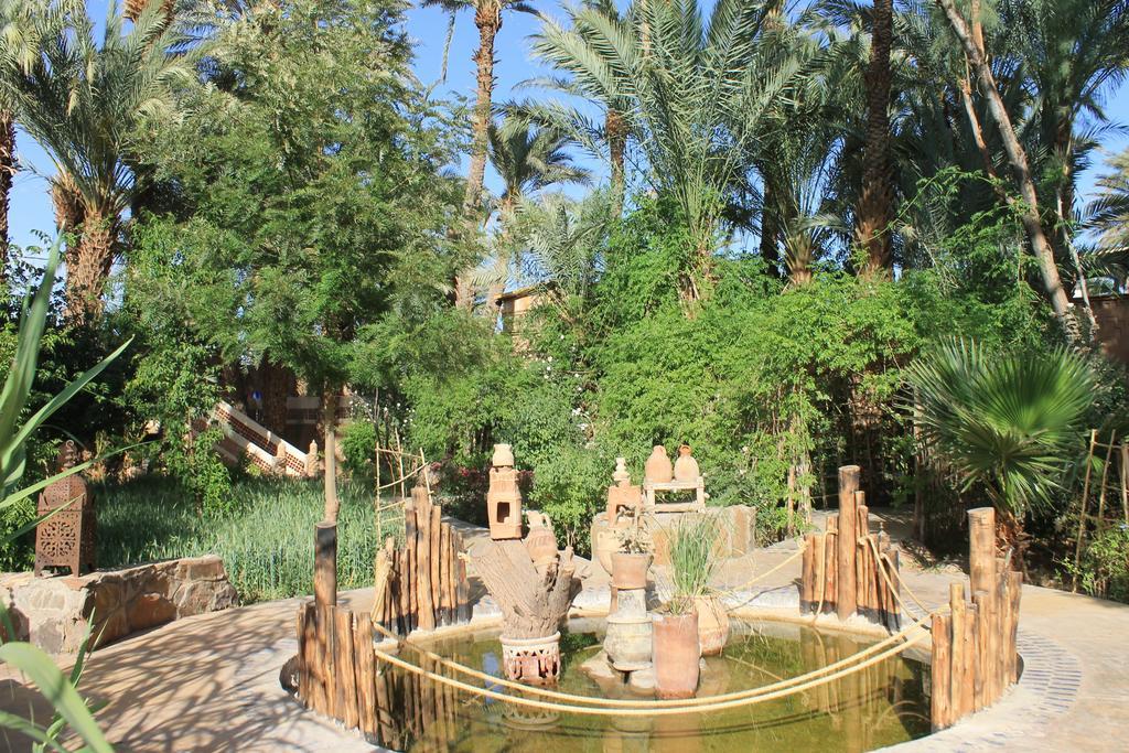 Ecolodge Bab El Oued Maroc Oasis Agdz Exterior foto