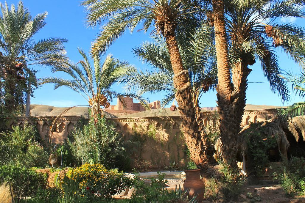 Ecolodge Bab El Oued Maroc Oasis Agdz Exterior foto
