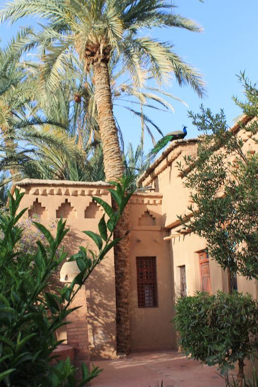 Ecolodge Bab El Oued Maroc Oasis Agdz Habitación foto