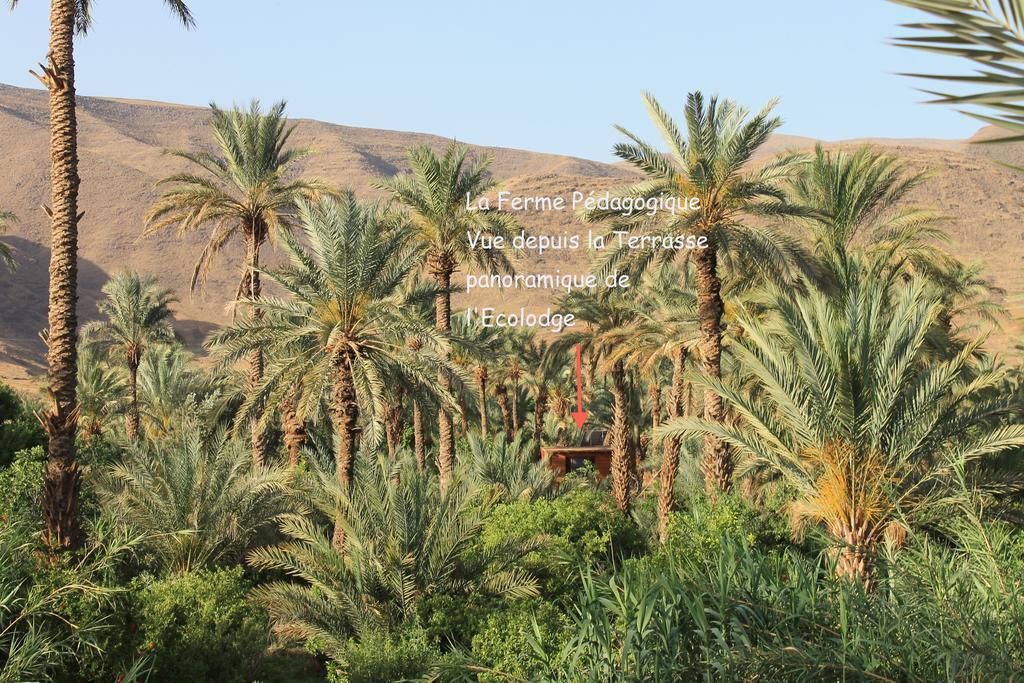 Ecolodge Bab El Oued Maroc Oasis Agdz Exterior foto