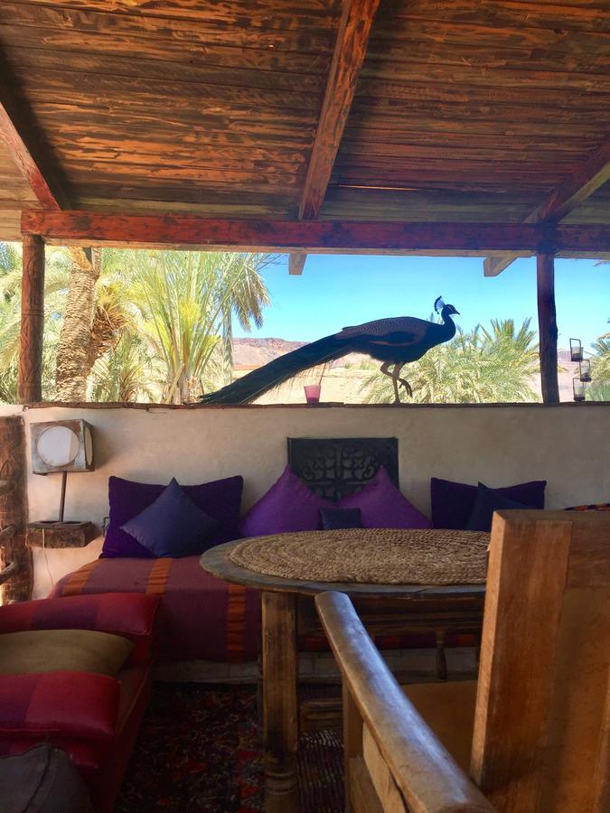 Ecolodge Bab El Oued Maroc Oasis Agdz Exterior foto