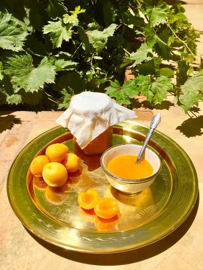 Ecolodge Bab El Oued Maroc Oasis Agdz Exterior foto