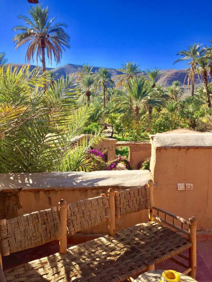 Ecolodge Bab El Oued Maroc Oasis Agdz Exterior foto